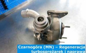 Czarnogóra (MN) – Regeneracja turbosprężarek i naprawa turbin w Czarnogórze (Црна Гора) - Europa