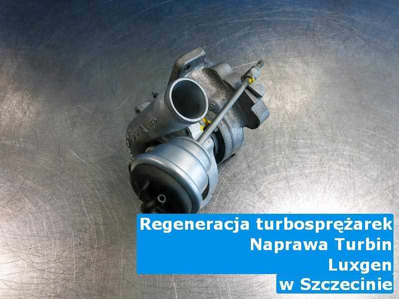 Pochodząca z samochodu marki Luxgen turbosprężarka zregenerowana w pracowni w Szczecinie
